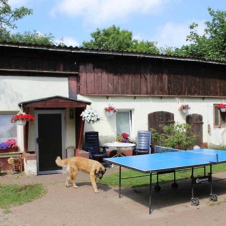 Ferienwohnung Heidi Ostseebad Ostseebad Zinnowitz Exterior foto